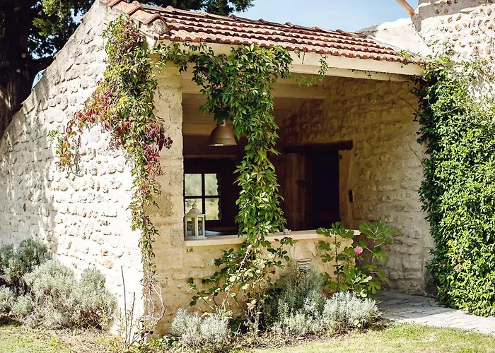 Les Champs De Provence